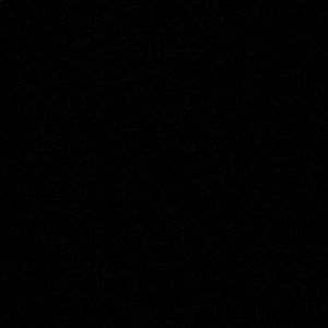 Meet your Posher, Ciera